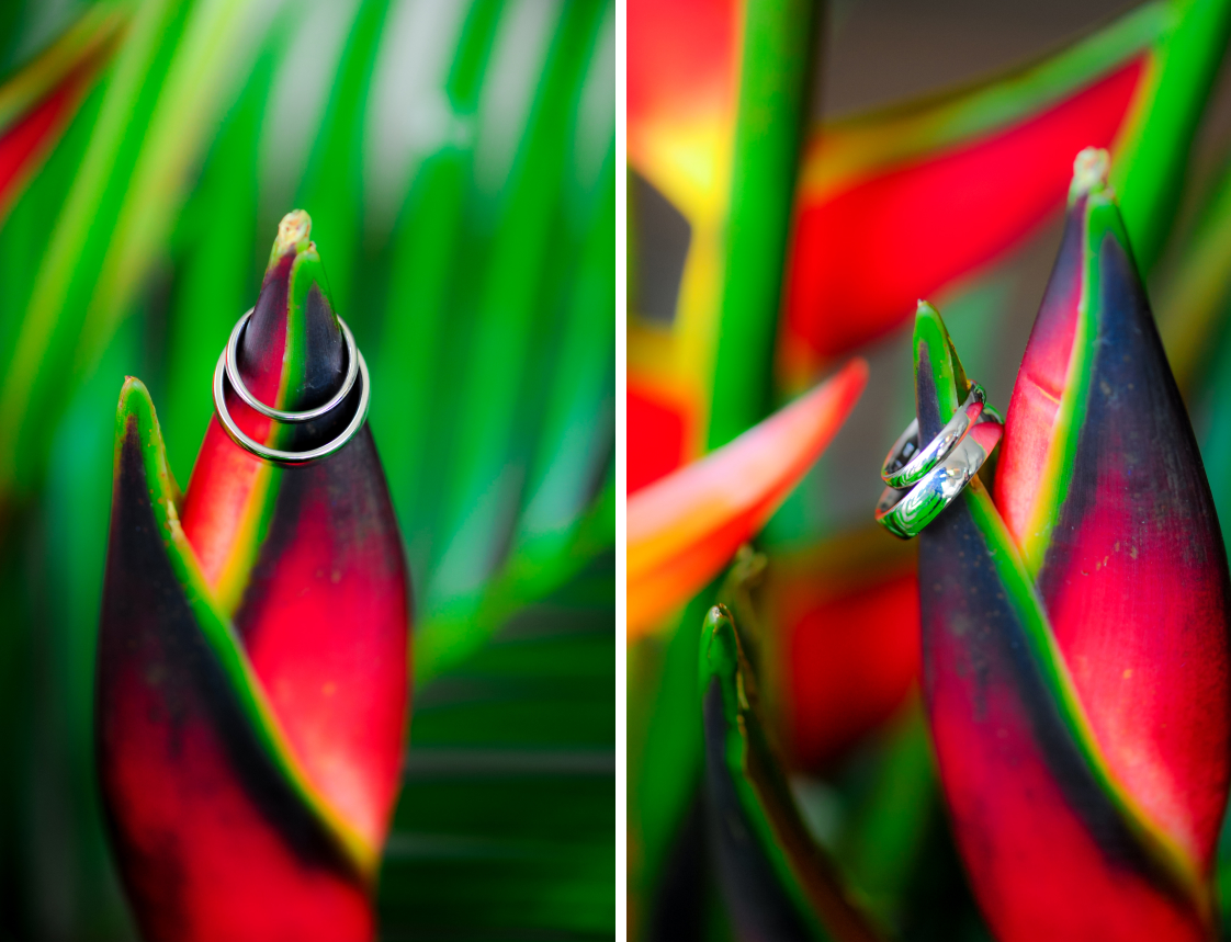 Bella Vita Wedding Photography - Montreal wedding photographer