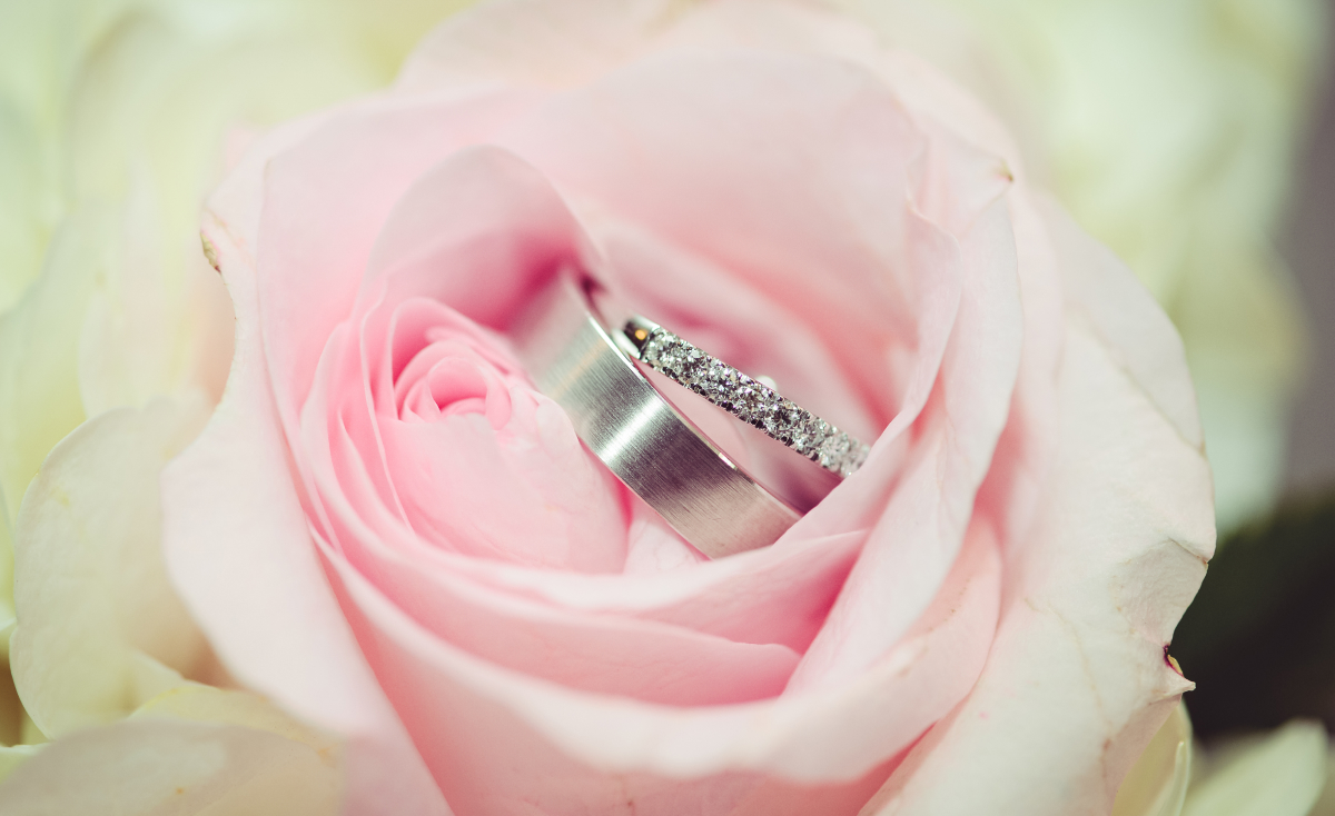 Bella Vita Wedding Photography - Montreal wedding photographer