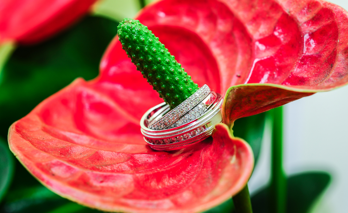 Bella Vita Wedding Photography - Montreal wedding photographer