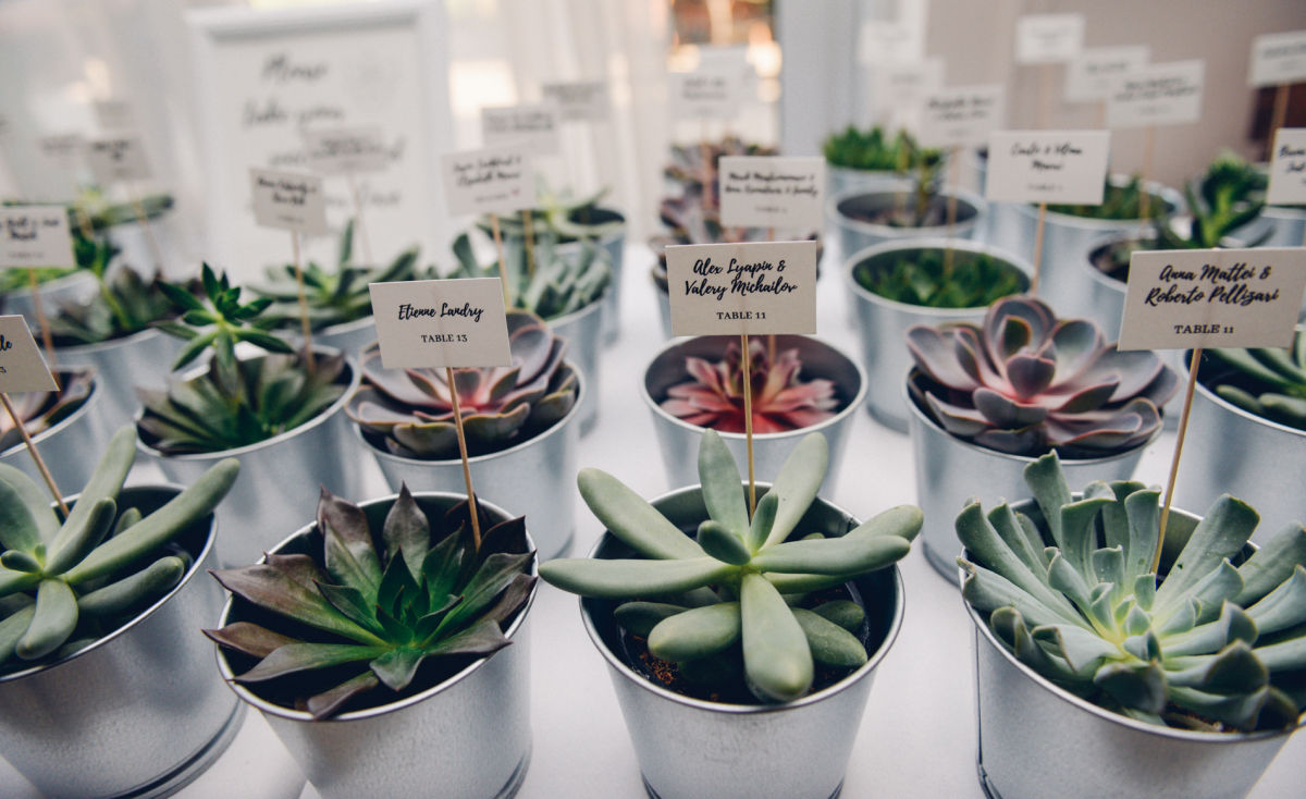 Bella Vita Wedding Photography - Montreal wedding photographer