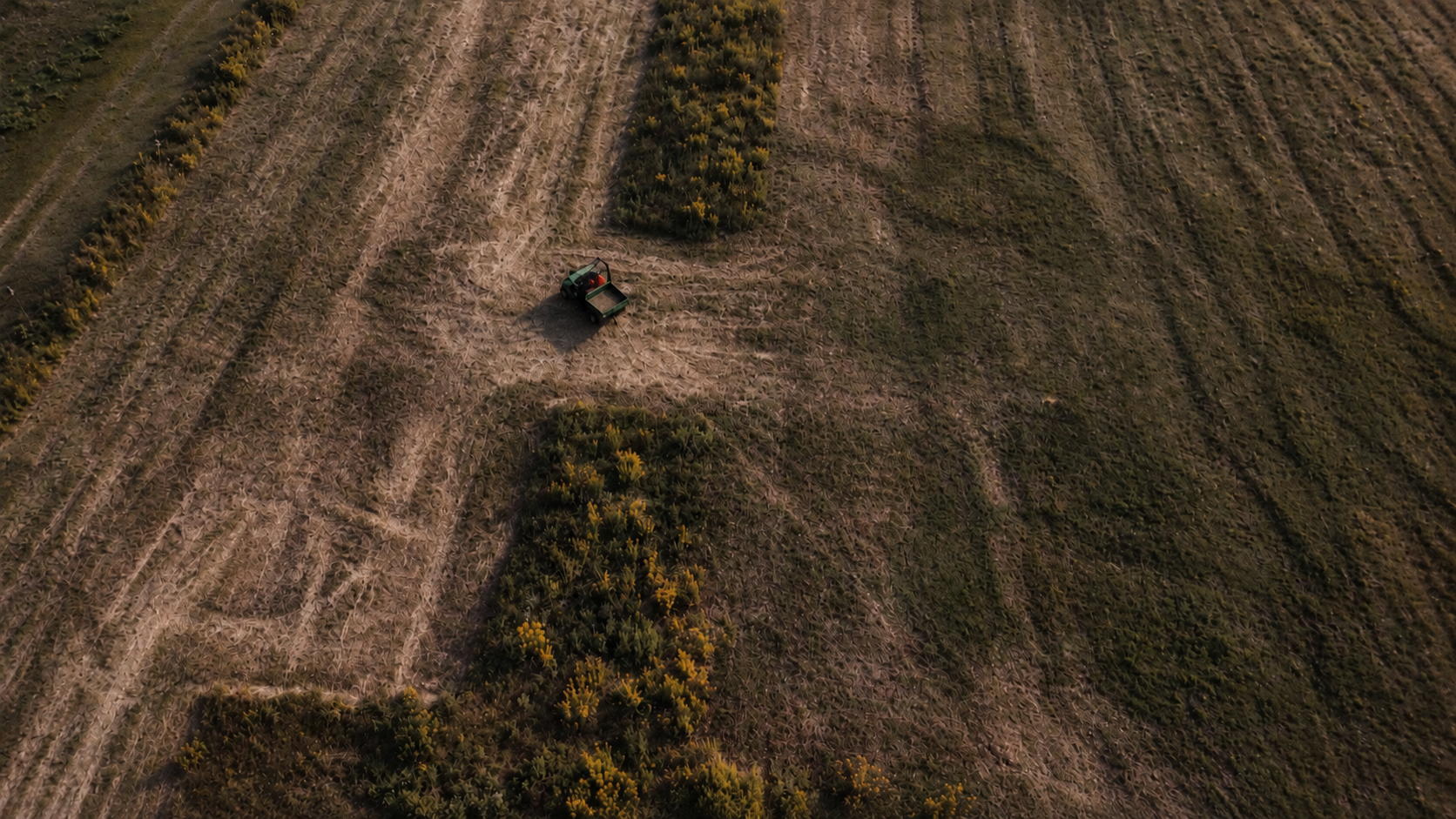 Golden-hour aerial of the meadow in Rougemont, Quebec