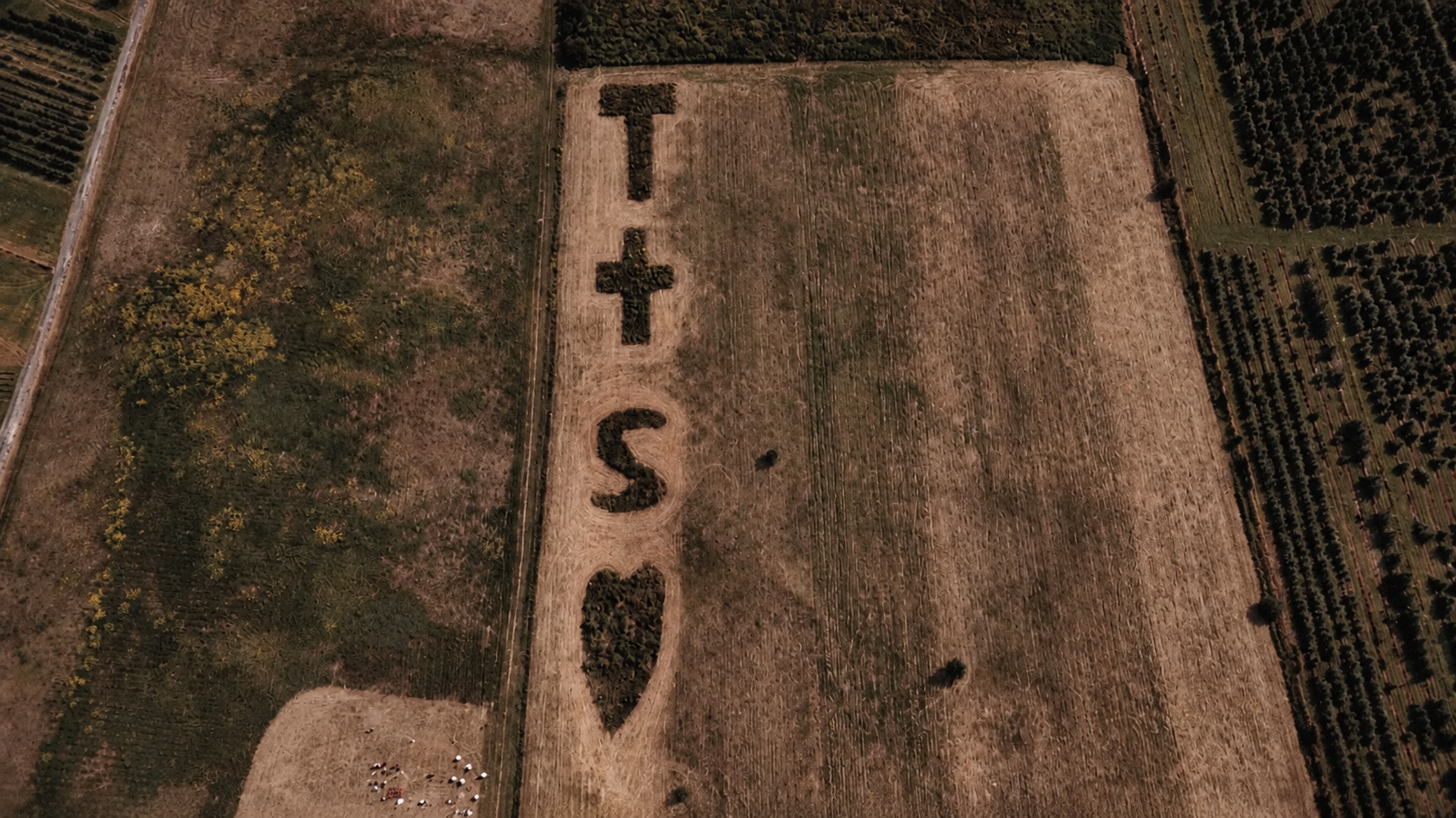 Aerial of a heart drawn in the field at Thu and Simon's wedding in Rougemont, Quebec
