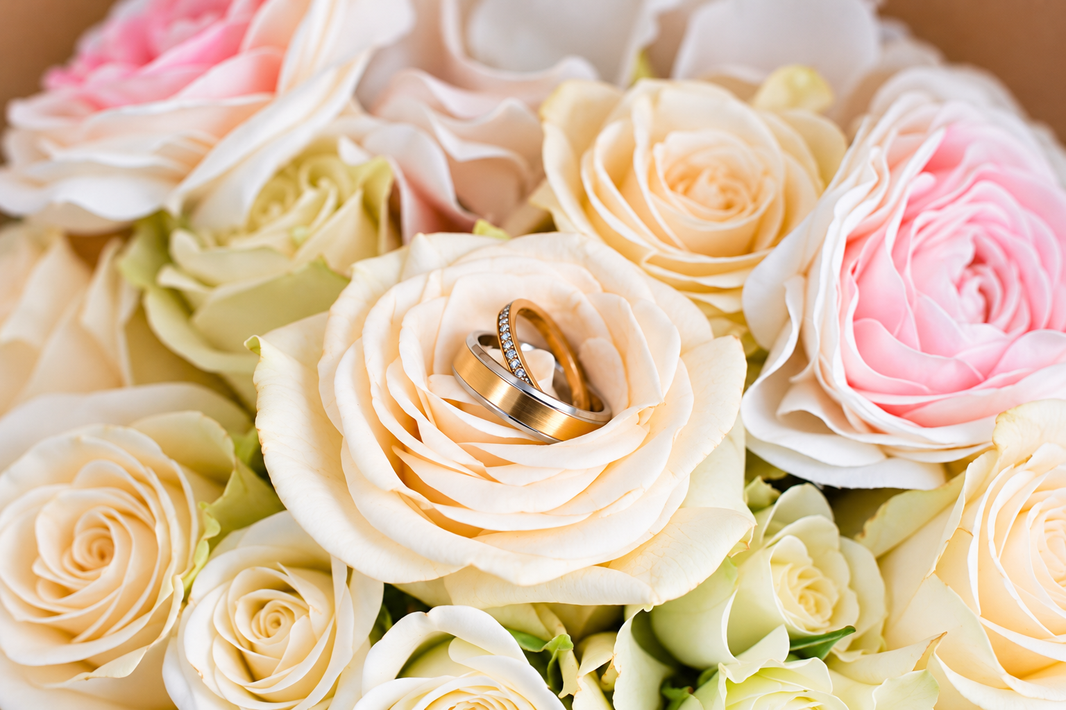 Wedding rings in a rose bouquet
